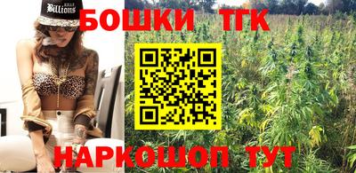 гидра Кингисепп