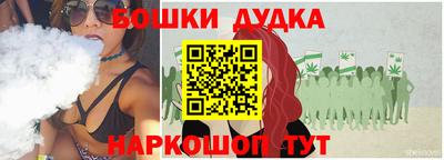гидра Кингисепп