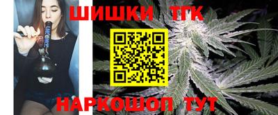 гидра Кингисепп