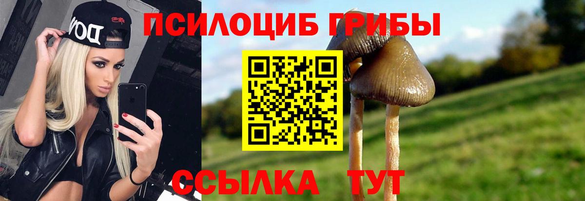 Галлюциногенные грибы мицелий Выкса