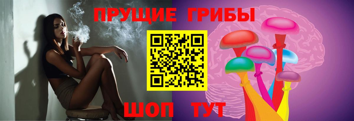 Выкса  Галлюциногенные грибы GOLDEN TEACHER  Вход с VPN 